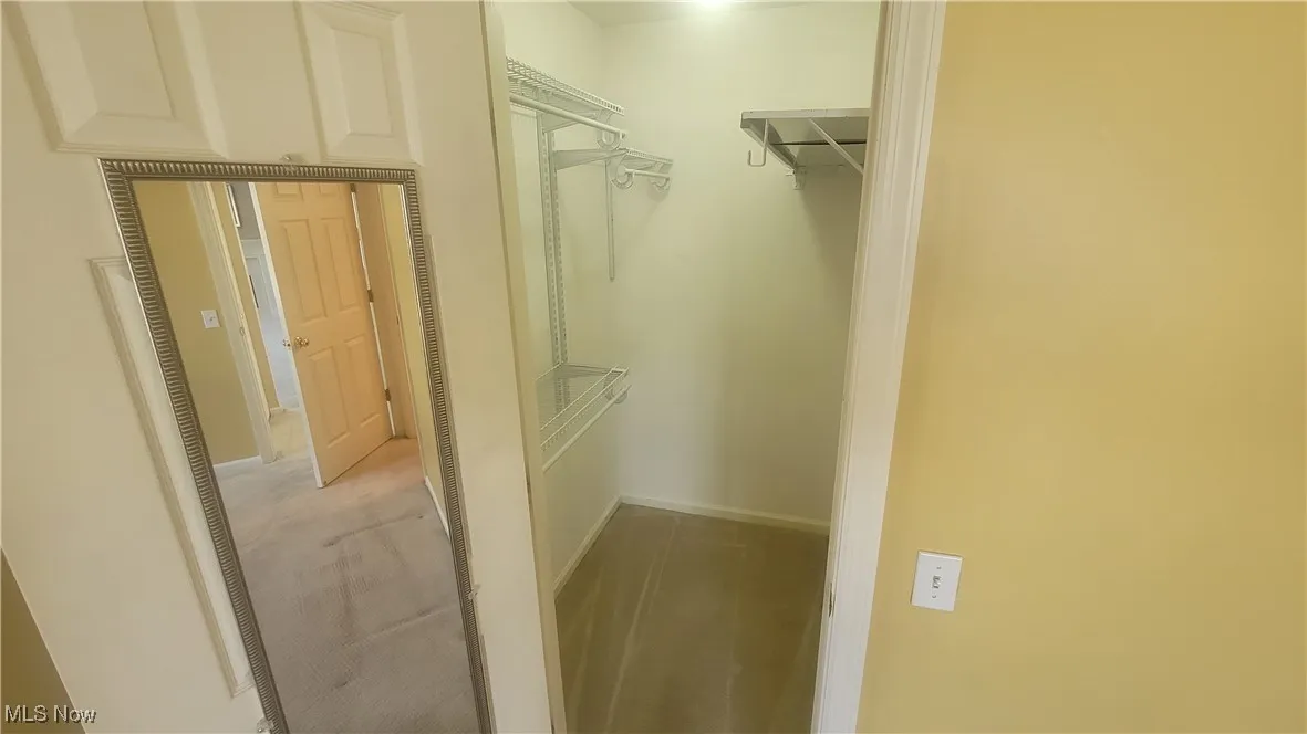 Walk in closet with light colored carpet and a heating unit