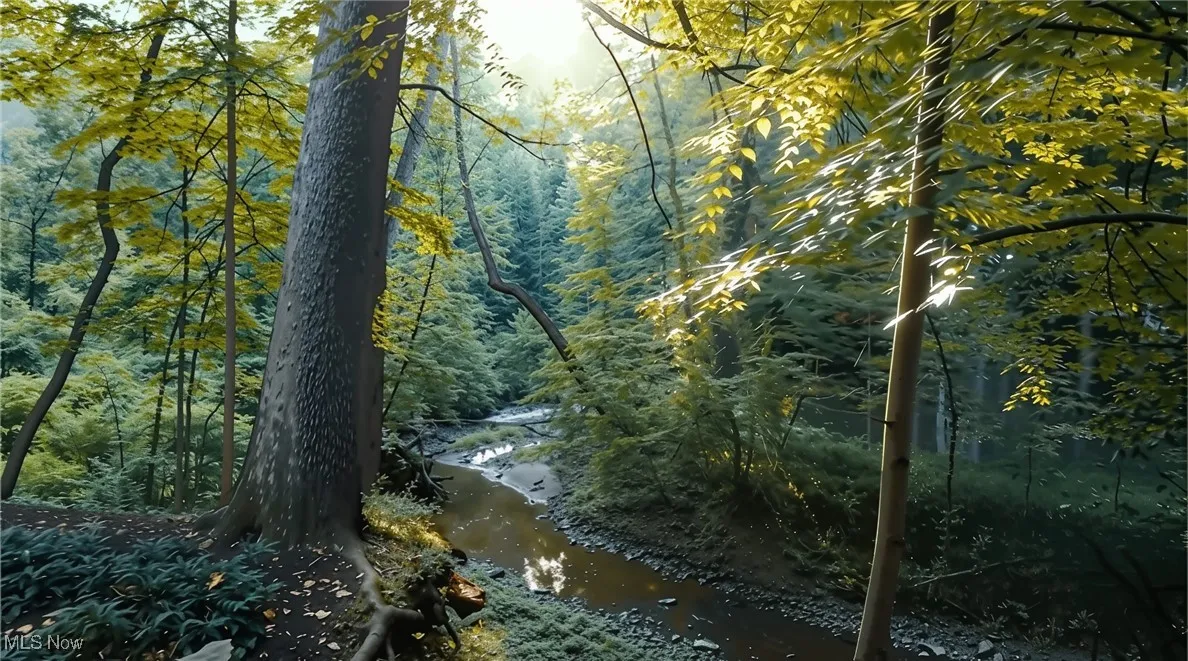 14759 Hillbrook Lane, Chagrin Falls, Ohio 44022,MLS Now Listing ID