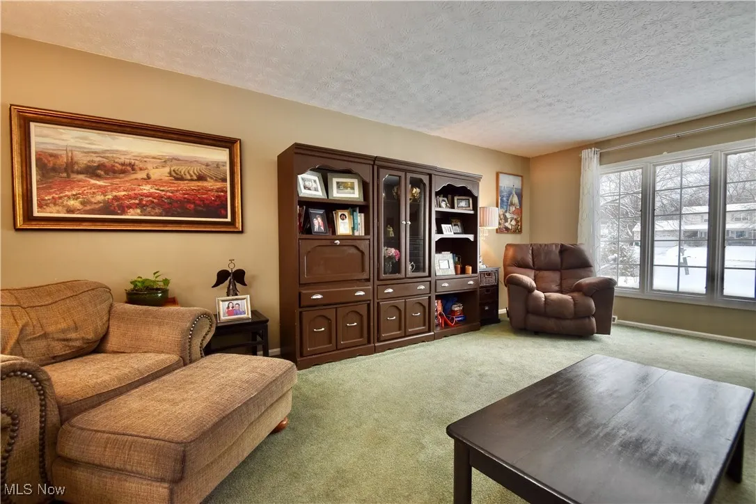 Living area with a textured ceiling and light carpet