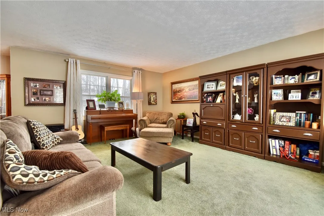 Living room featuring light carpet and a textured ceiling