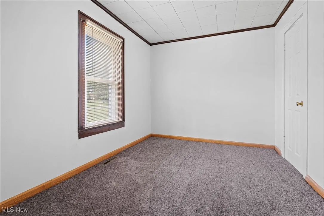 Unfurnished room with crown molding and carpet flooring