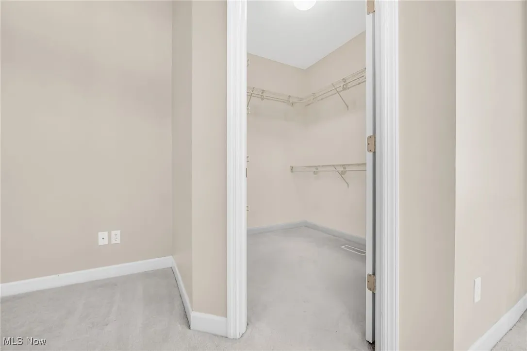 Walk in closet featuring light carpet