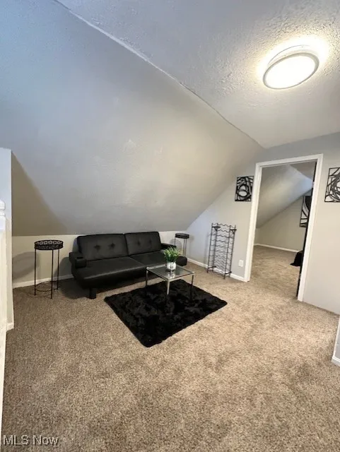 Living room featuring a textured ceiling, light colored carpet, and vaulted ceiling