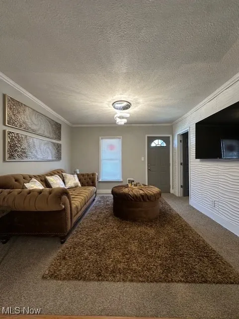 Carpeted living room featuring ornamental molding and a textured ceiling