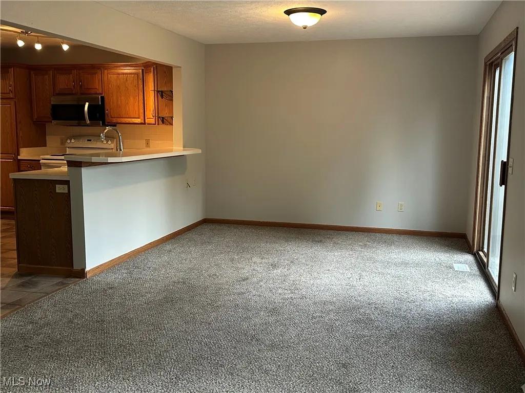 91 Sunset Cove Circle, Eastlake, Ohio 44095,MLS Now Listing ID