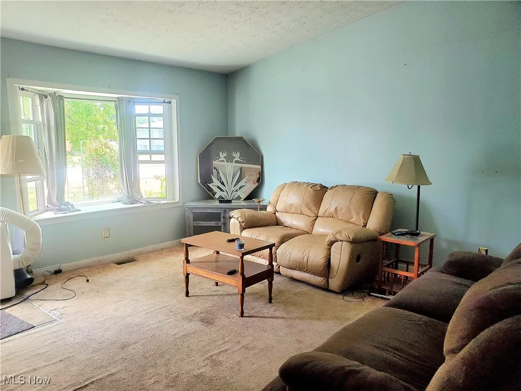 Living area with carpet and a textured ceiling