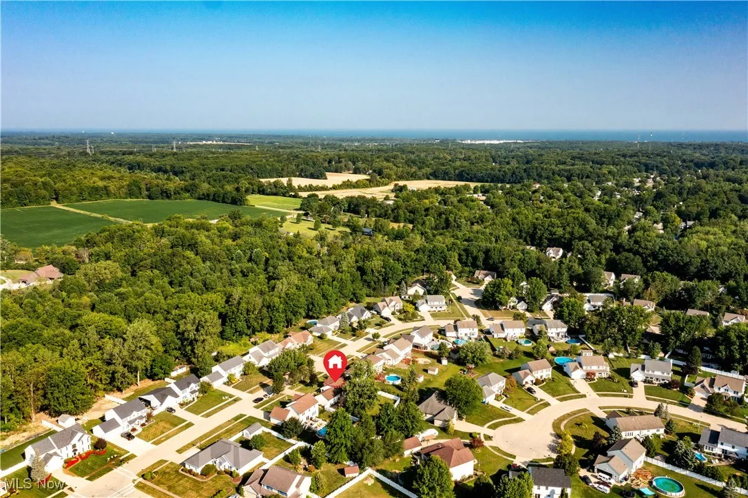 Aerial perspective of suburban area featuring a forest