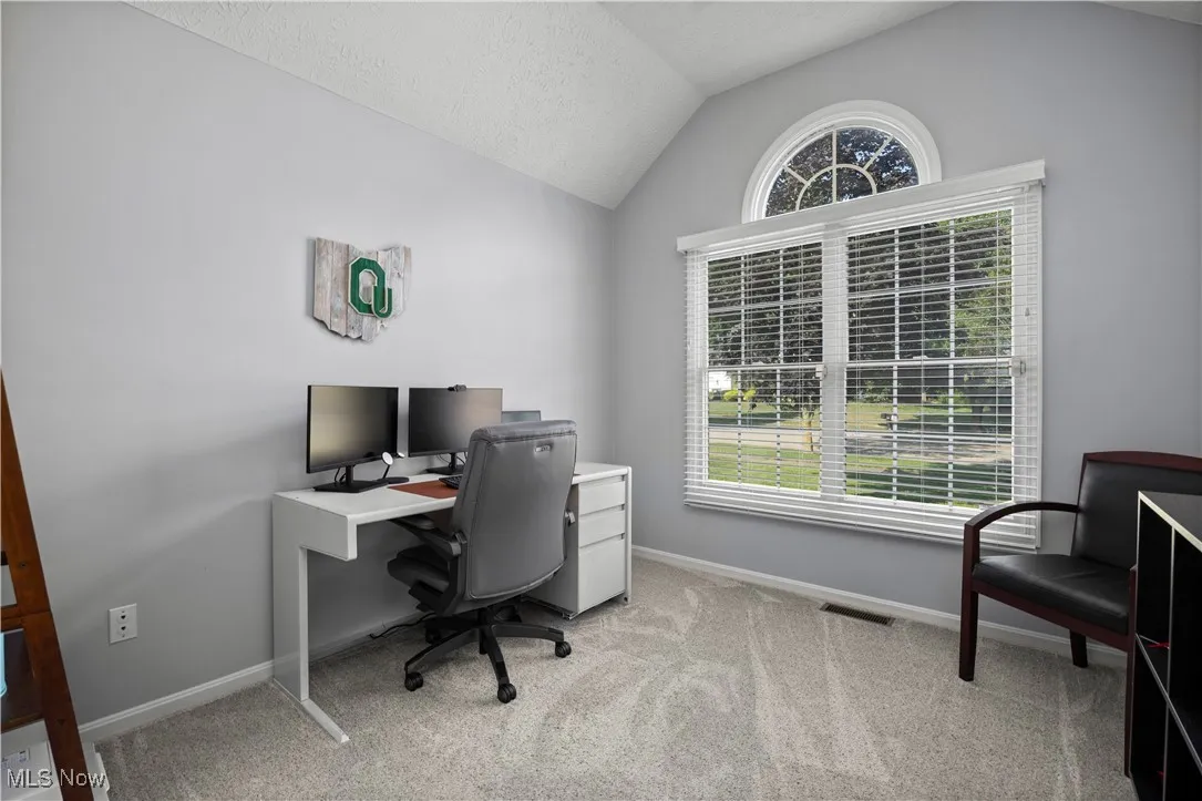 Office space featuring vaulted ceiling, light carpet, and a textured ceiling