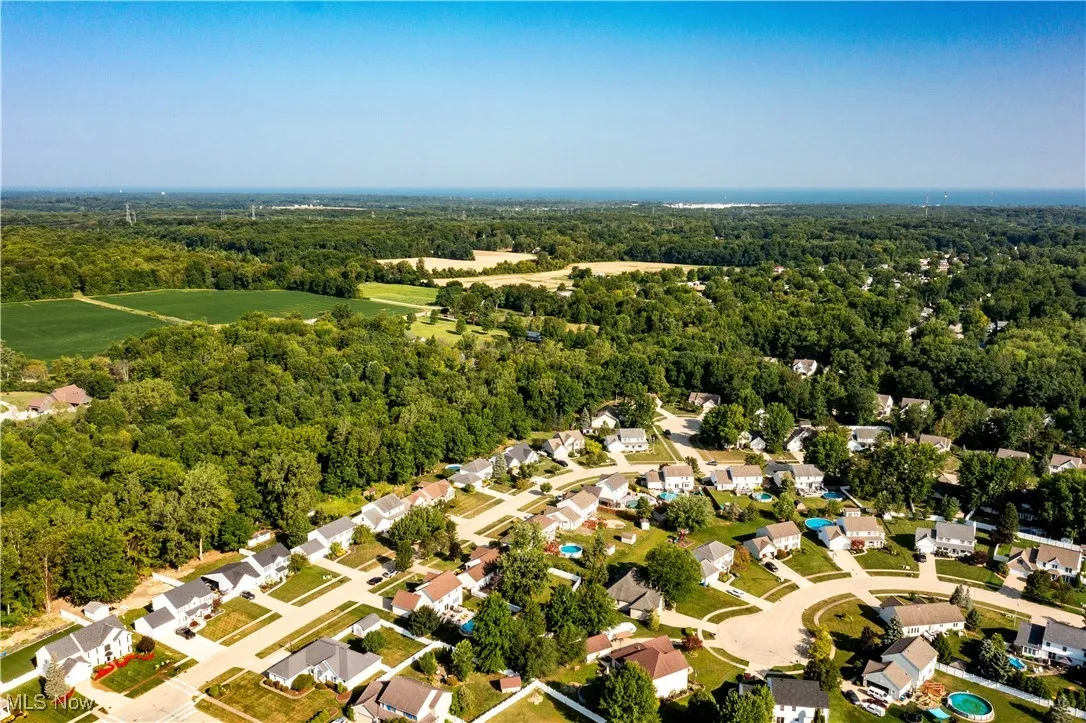 Aerial perspective of suburban area featuring a heavily wooded area