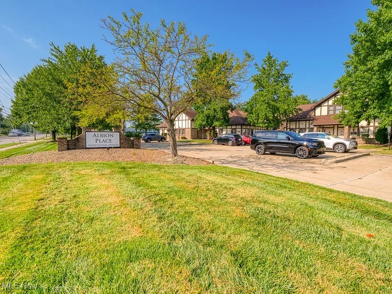 View of grassy yard