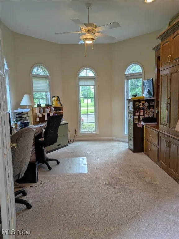 23926 W Rim Drive, Columbia Station, Ohio 44028,MLS Now Listing ID