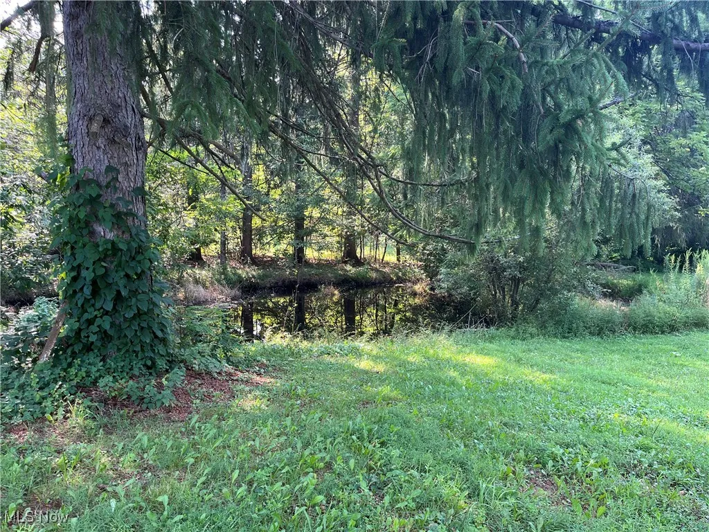 Pond on west side of house.