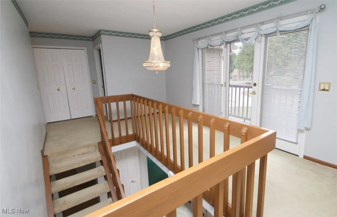 Staircase featuring carpet flooring