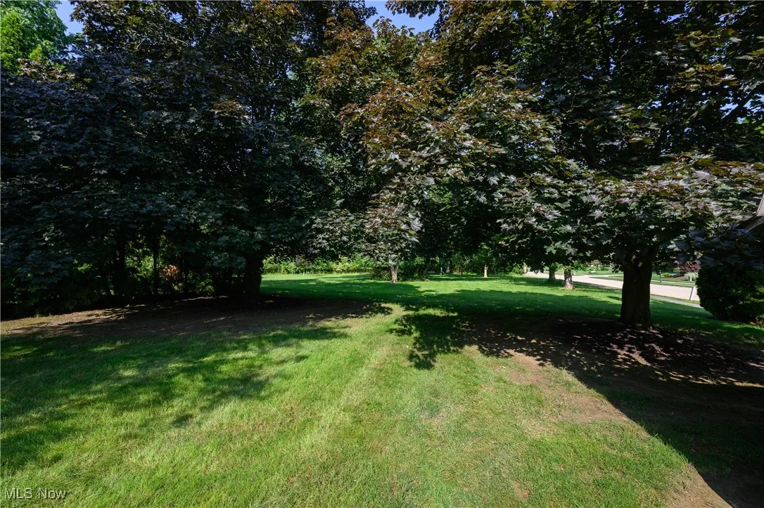 View of green lawn