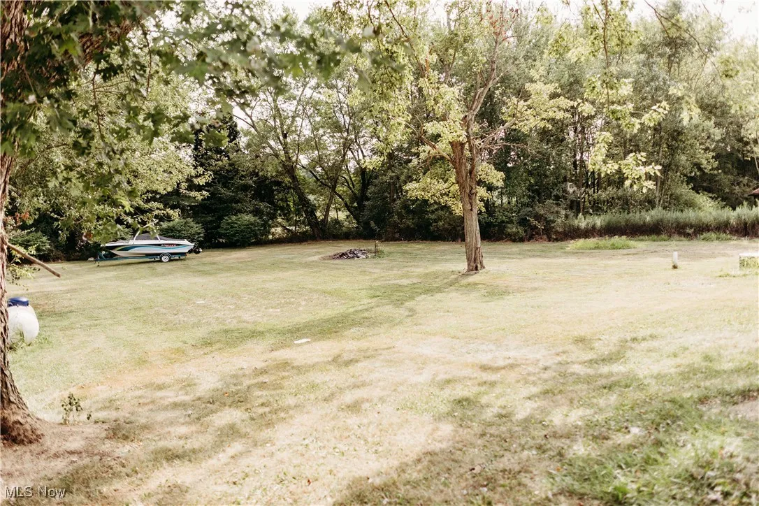 View of grassy yard