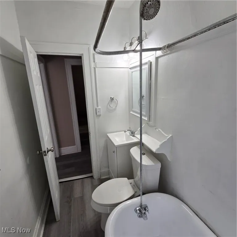 Bathroom with wood finished floors, toilet, vanity, baseboards, and a freestanding tub
