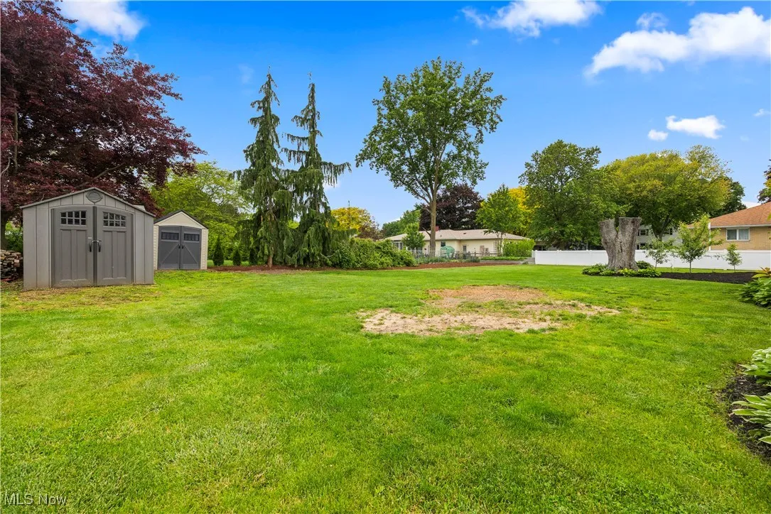 View of green lawn with a storage unit