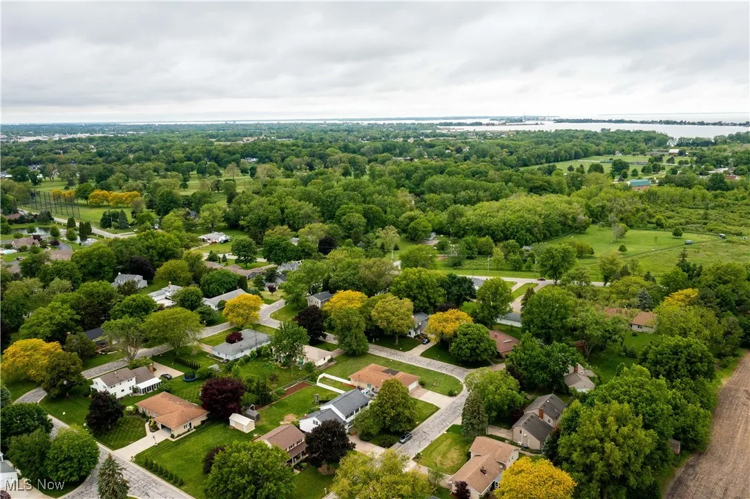 Bird's eye view of a tree filled landscape