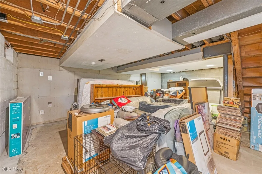 View of unfinished basement
