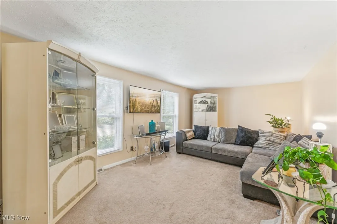 Living area featuring carpet flooring and a textured ceiling