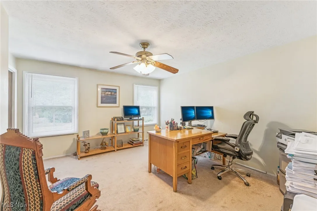 Office featuring light colored carpet, a textured ceiling, and a ceiling fan