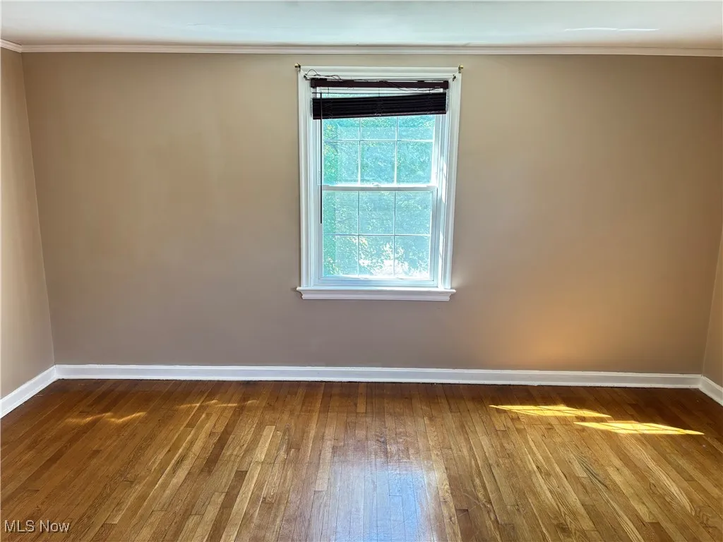 Unfurnished room with crown molding and wood-type flooring