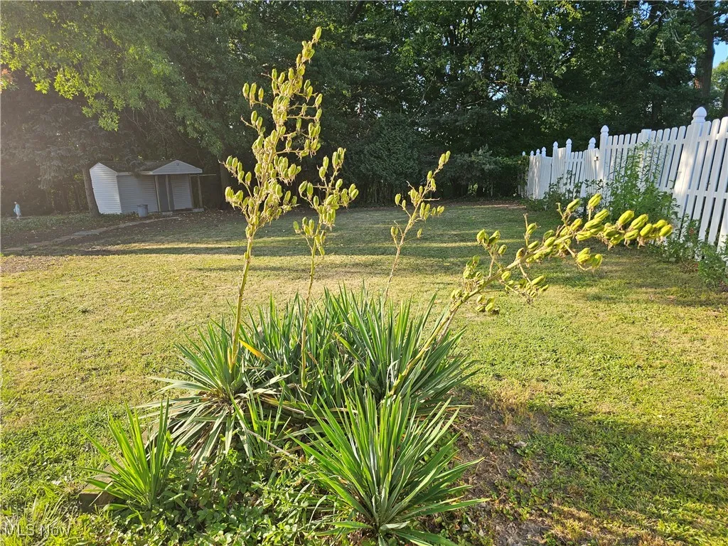 9513 David Road, Garfield Heights, Ohio 44125,MLS Now Listing ID