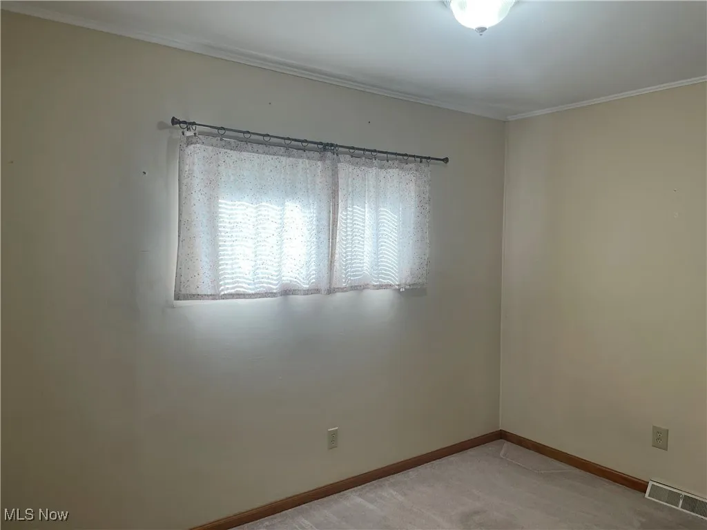13613 Carrington Avenue, Cleveland, Ohio 44135,MLS Now Listing ID