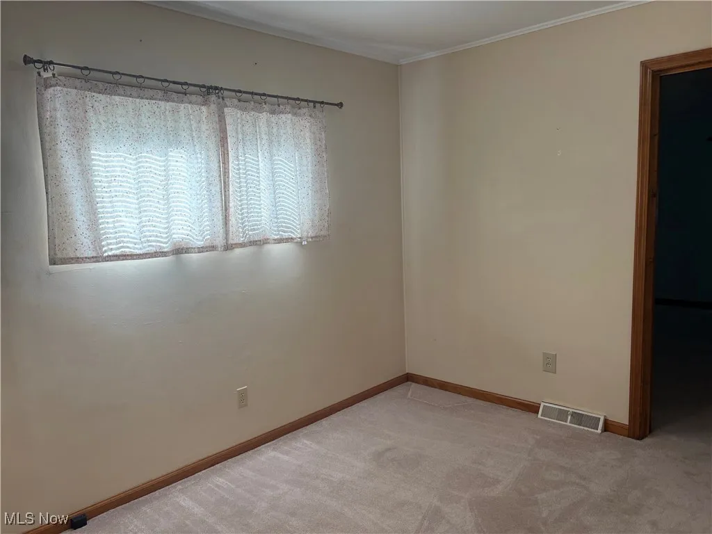 13613 Carrington Avenue, Cleveland, Ohio 44135,MLS Now Listing ID