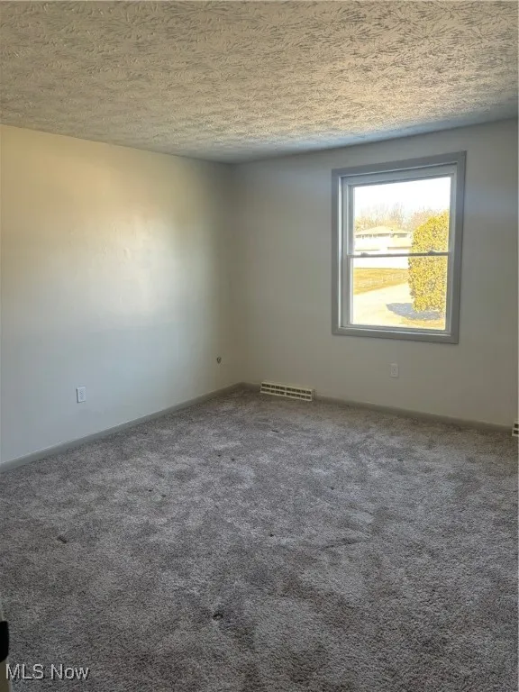 Spare room featuring carpet flooring and a textured ceiling