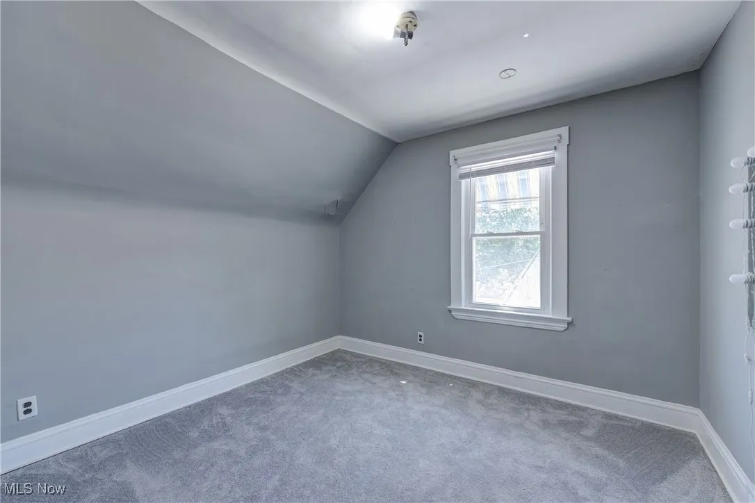Additional living space featuring carpet floors and vaulted ceiling