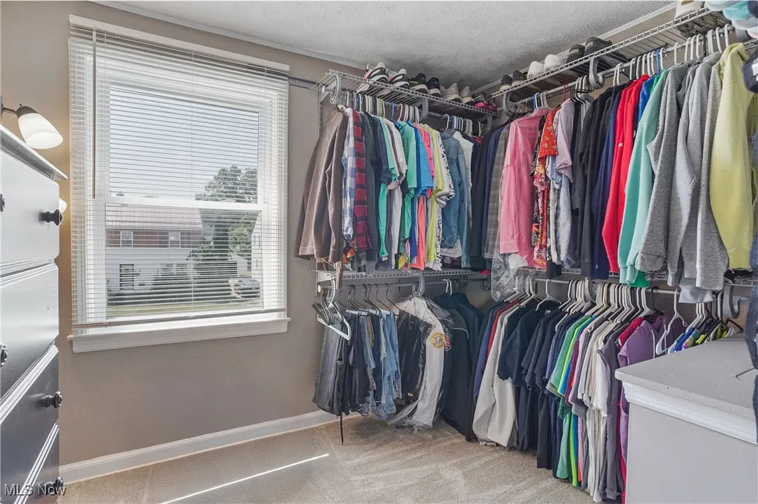 Spacious closet with light carpet