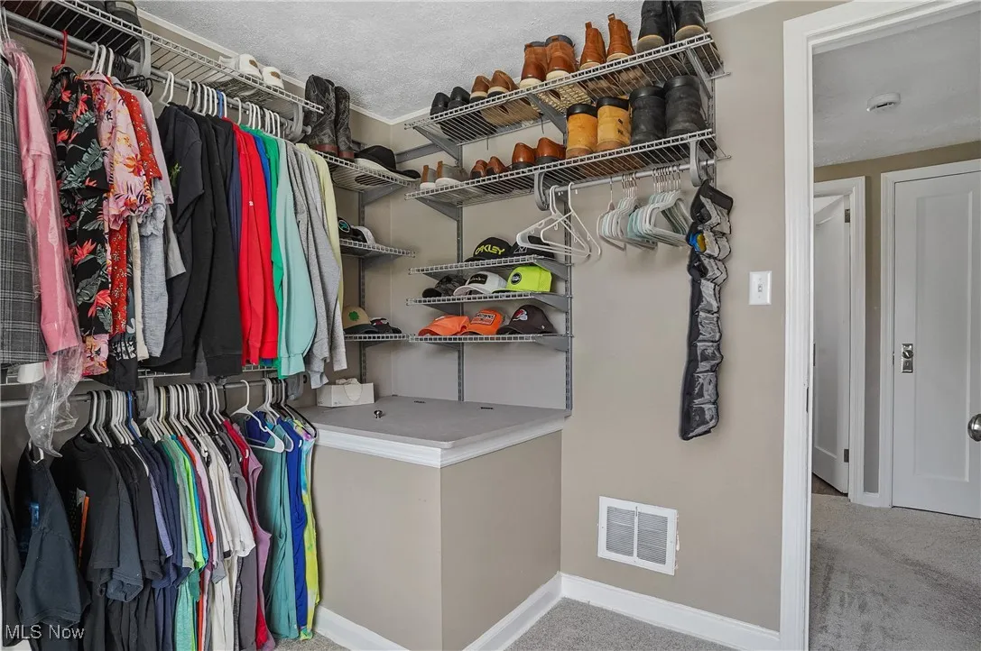 Spacious closet with light carpet