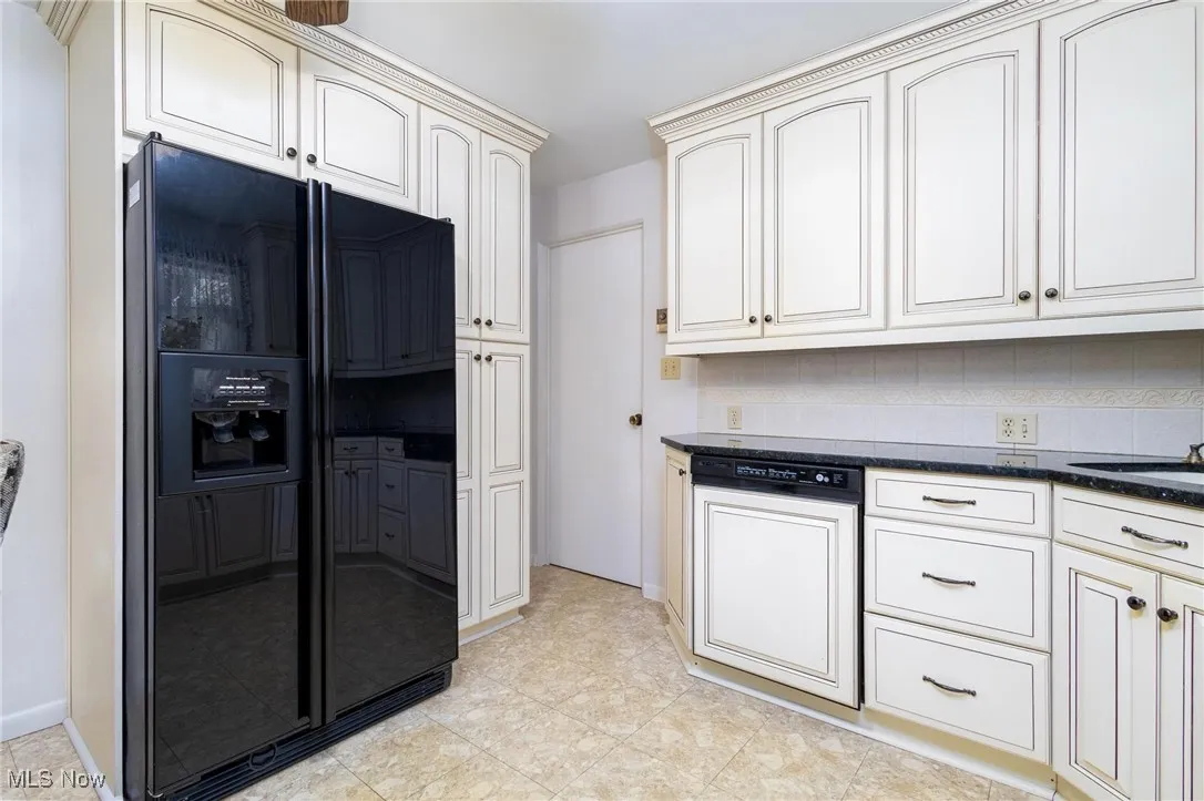Kitchen with black fridge, dishwashing machine, tasteful backsplash, and dark stone countertops