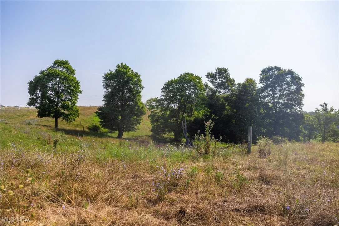 View of nature featuring rural landscape