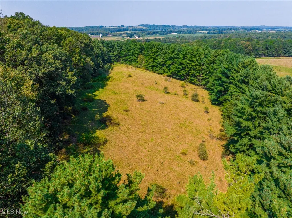 Drone / aerial view of a heavily wooded area