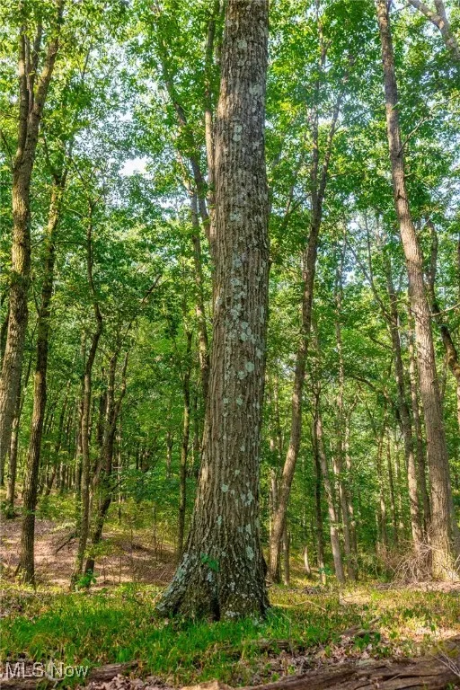 View of wooded area