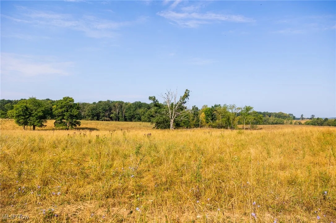 View of nature featuring rural landscape