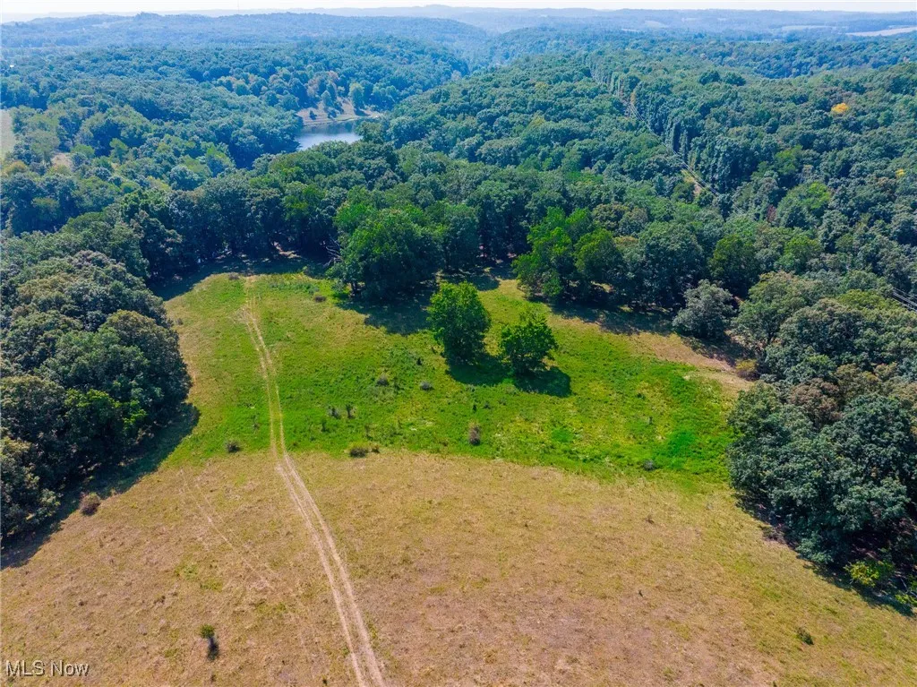 Bird's eye view of a forest and a large body of water