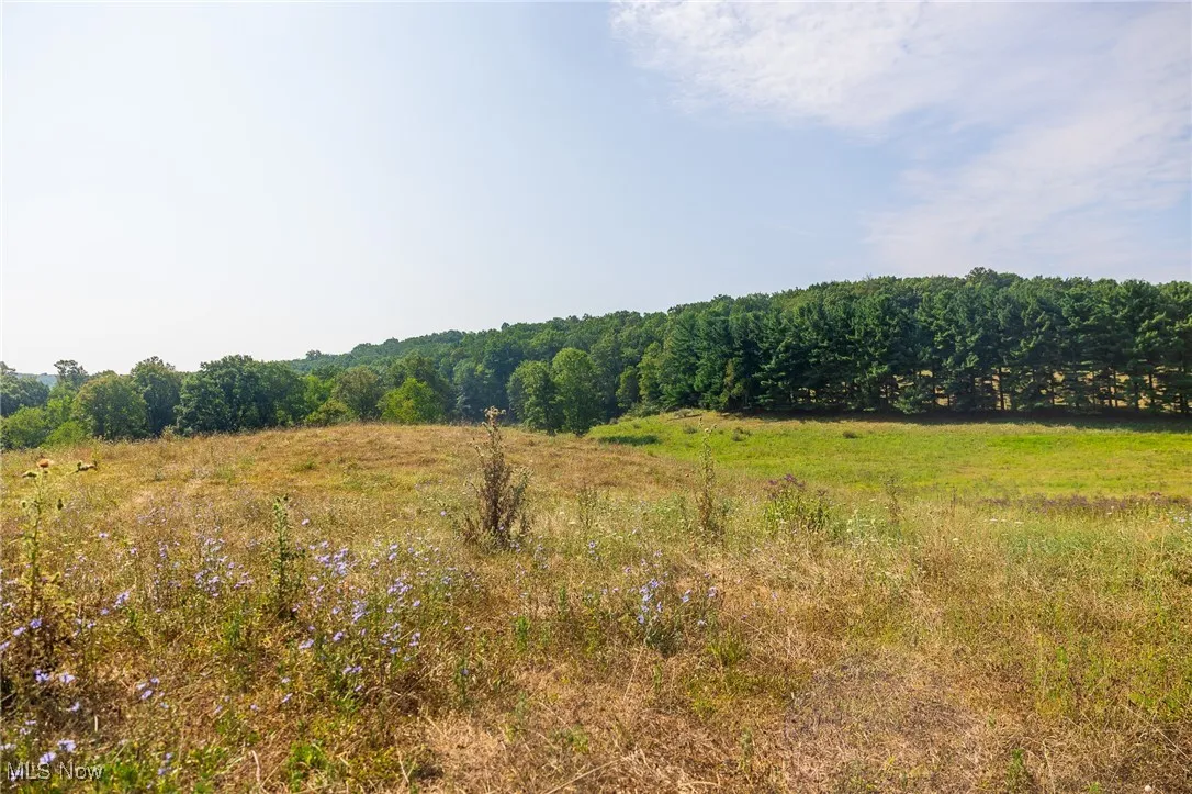 View of nature featuring rural landscape