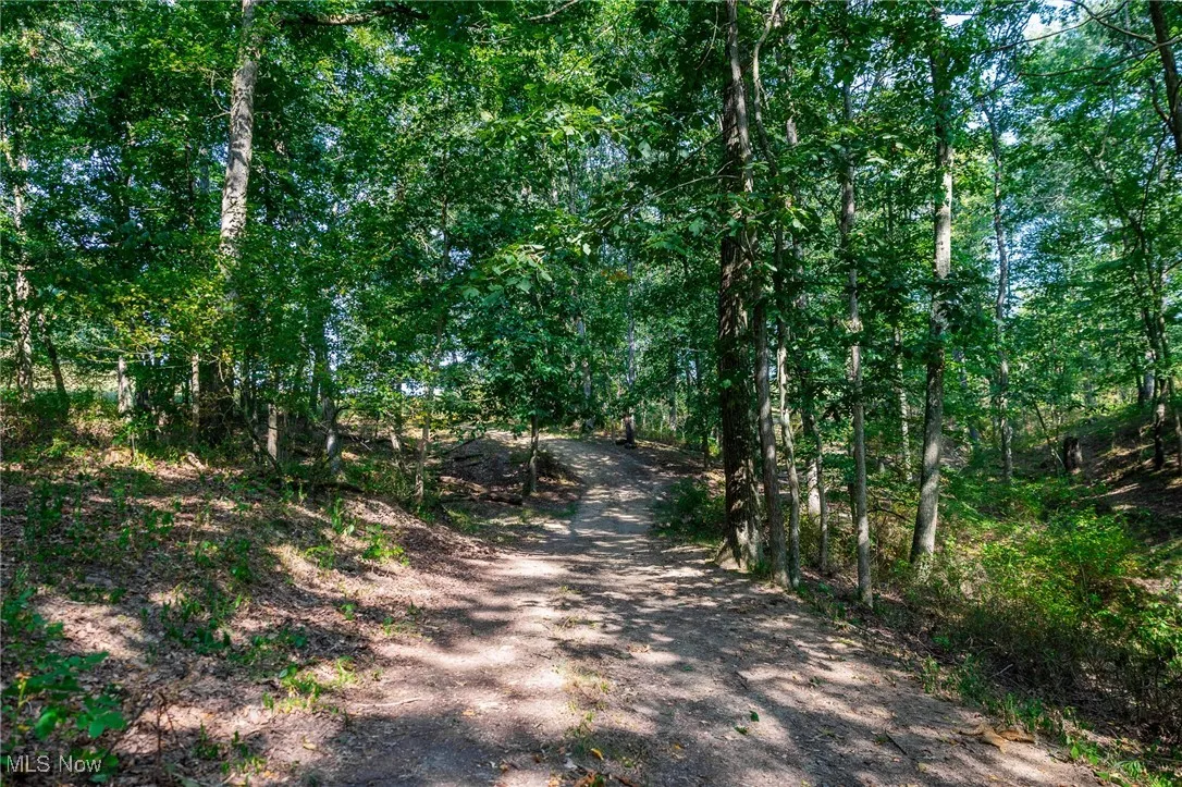View of street with a wooded view