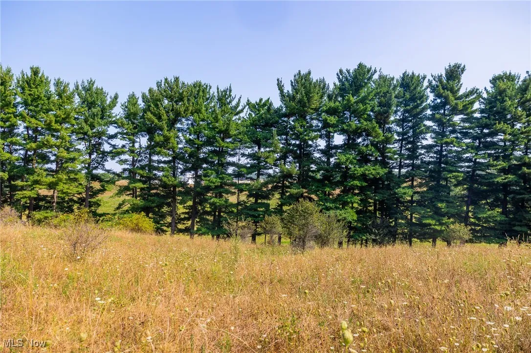 View of nature