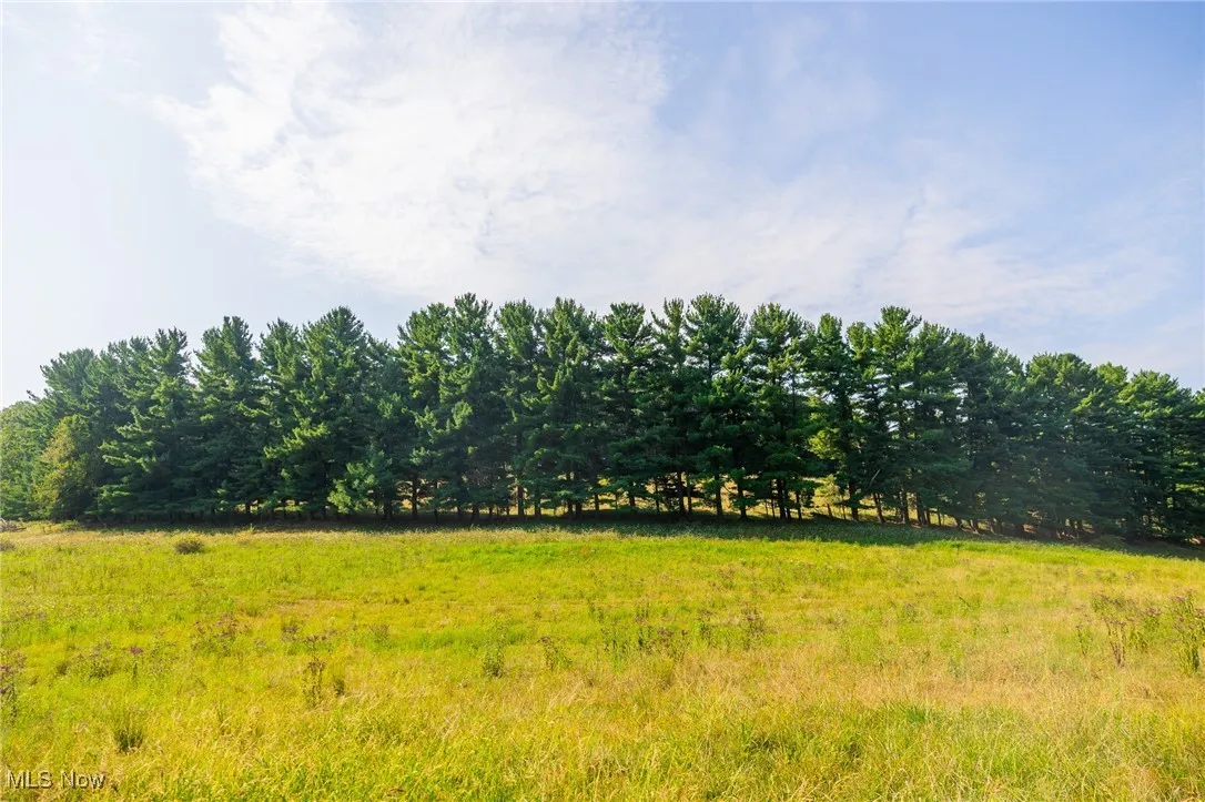 View of yard with a rural view