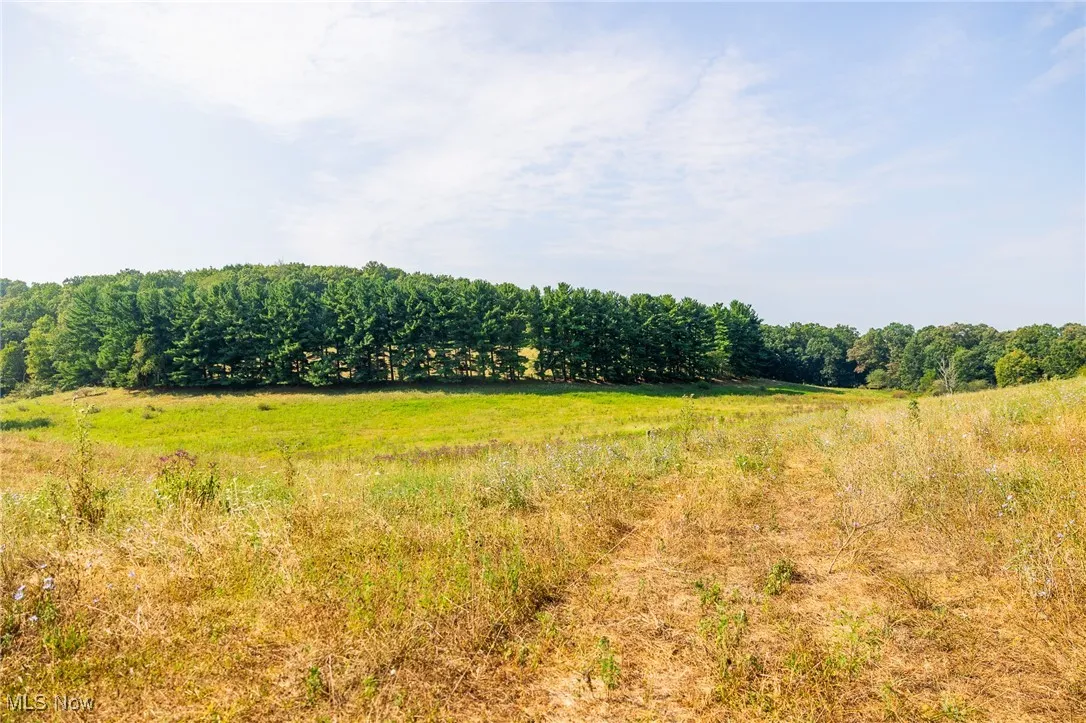 View of nature with rural landscape