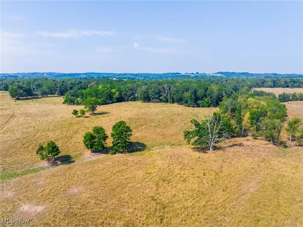 Overview of rural landscape