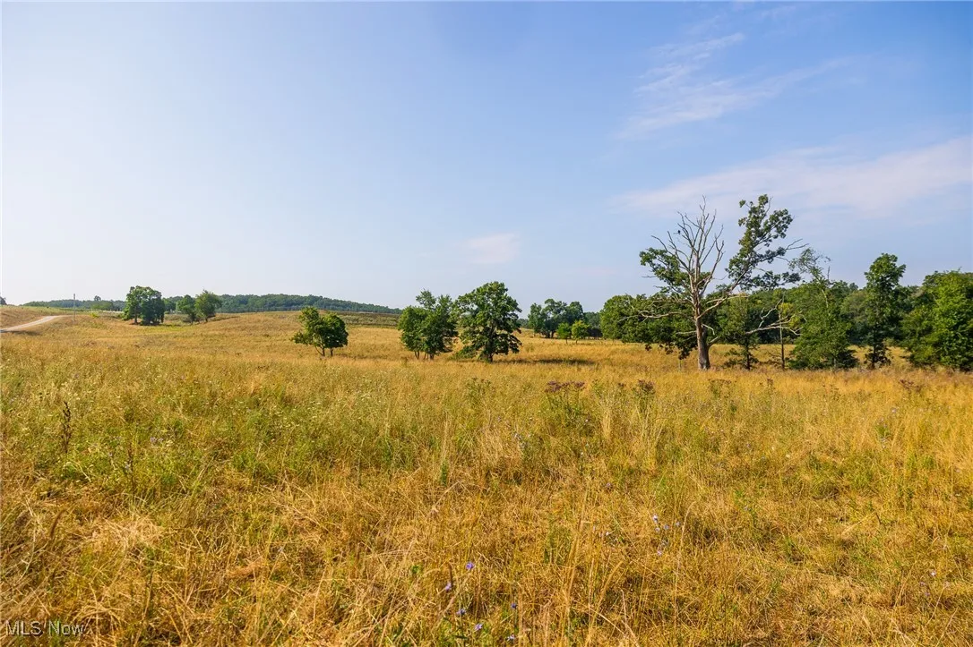 View of nature with rural landscape