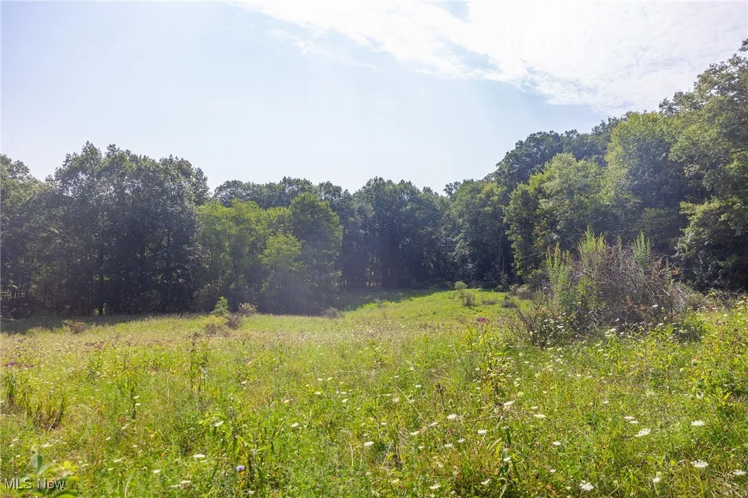 View of wooded​​‌​​​​‌​​‌‌​‌‌​​​‌‌​‌​‌​‌​​​‌​​ area