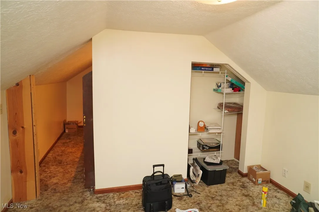 Bonus room with a textured ceiling, carpet, and lofted ceiling