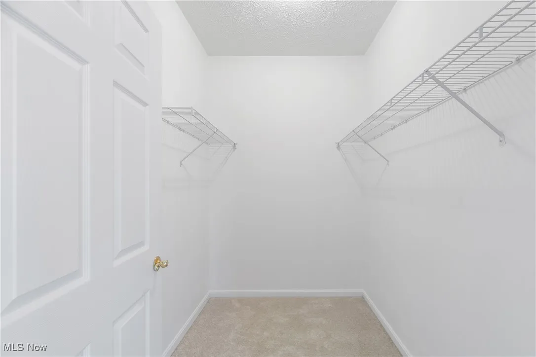 Spacious closet with light carpet