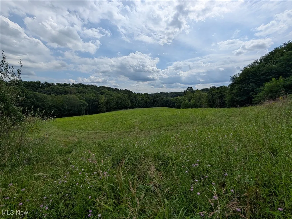 View of wooded area featuring a rural view